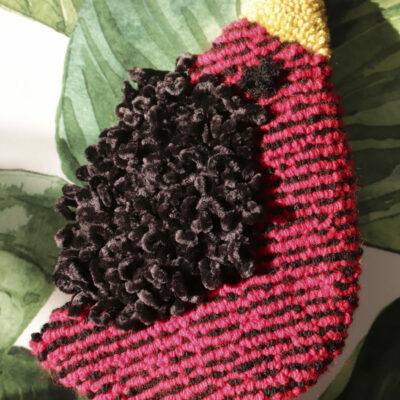 Bird (red and black stripe and black wing)